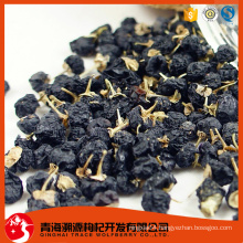 dried wild black barbary wolfberry